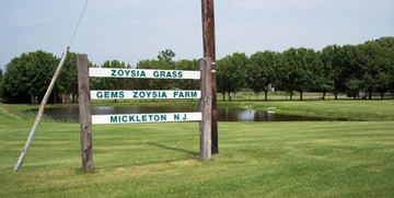 Gems Zoysia Farm - Mickleton, NJ
